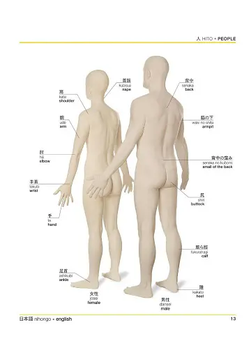 Japanese-English Bilingual Visual Dictionary - фото 8