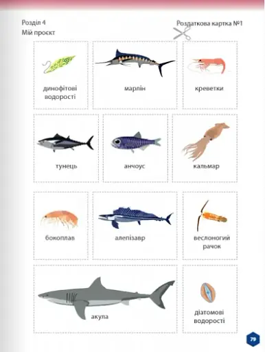 Пізнаємо природу 5 клас. Робочий зошит. Частина 2 - фото 12