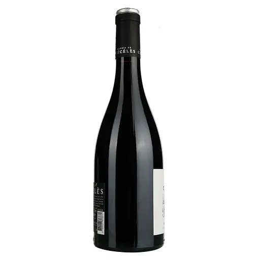 Вино Devois De Ceceles Rouge 2020 AOP Pic Saint Loup, красное, сухое, 0.75 л - фото 2