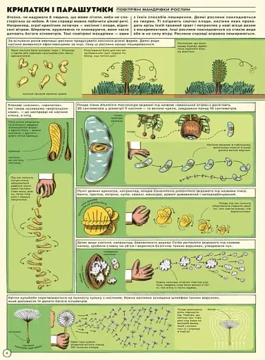 Але високо! Мальована історія авіації - фото 2