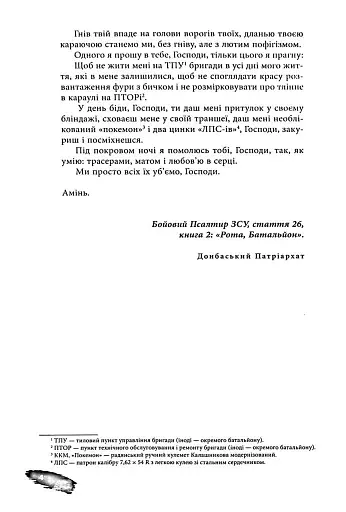 Піхота. Наша земля - фото 3