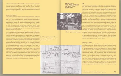 Никифор - фото 2