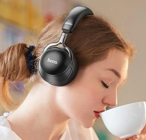 Навушники Hoco ESD17 Profit sound | BT5.3, 12h, 400 mAh | black - фото 5