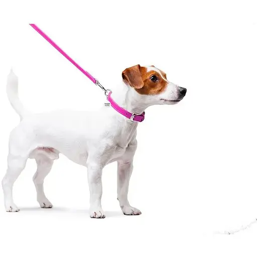 Повідець для собак Waudog Glamour шкіряний, рожевий - фото 4