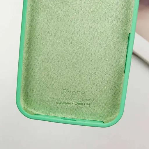 Чохол Epik Silicone Case Full Protective AA для Apple iPhone 13 Pro Max 6.7 Зелений/Spearmint - фото 6