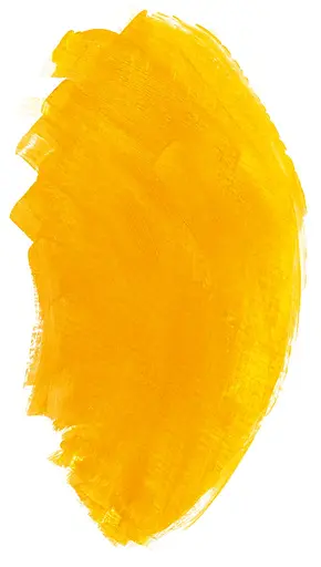 Масляная краска Rive gauche 40 мл, Индийский желтый (Indian Yellow) - фото 4