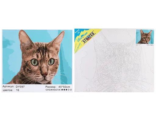 Набір для розпису по номерах Зеленоокий кіт, Strateg, 40x50 см, DY097