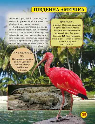 Світ навколо нас. Дива природи - фото 5