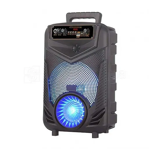 Портативна Bluetooth-колонка NDR-P44 8 дюймів (Black)