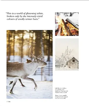 Where To Go When - фото 3