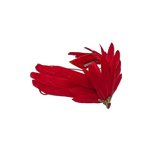 Тіара Фенікс - фото 3