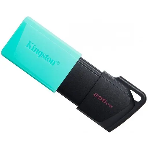 Флэш Kingston Exodia M 256 ГБ Black/Teal (DTXM/256GB)