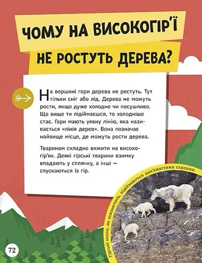 Енциклопедія юних розумників - фото 15