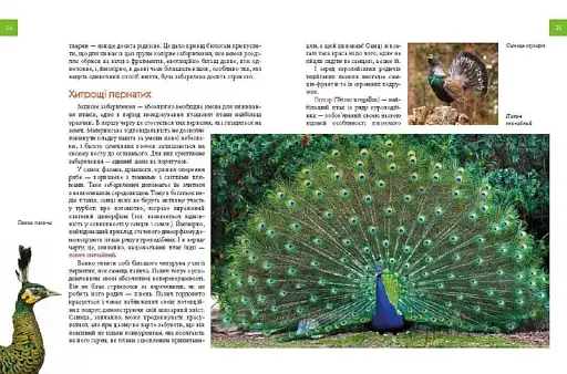 Енциклопедія для допитливих А5 : Тварини - майстри маскування (Українська ) - фото 5