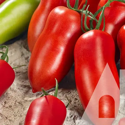 Томат Садиба Корнабель F1, 5 шт.