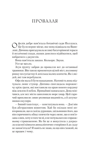 Буря лун. Крізь дзеркала. Книга 4 - фото 20