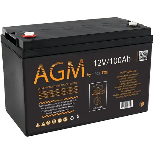 Аккумулятор AGM TECHTRU 12V 100 Ah VRLA