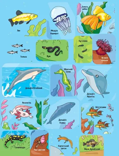 Тваринки під водою - фото 7