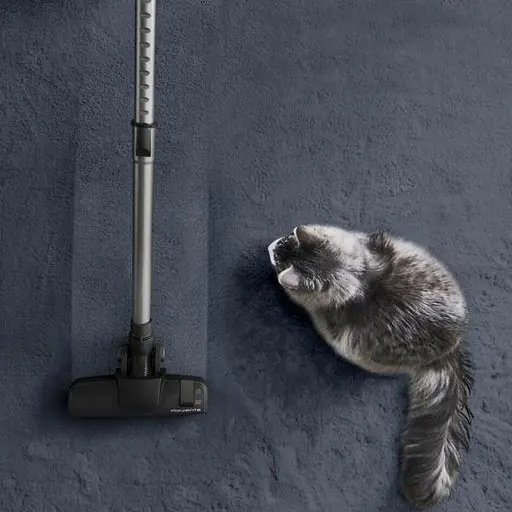 Пылесос безмешковый Rowenta Green Force Cyclonic RO7C66EA - фото 9