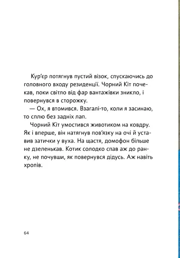 Чорний Кіт — помічник. Дотримуйтеся порядку в резиденції! - фото 8