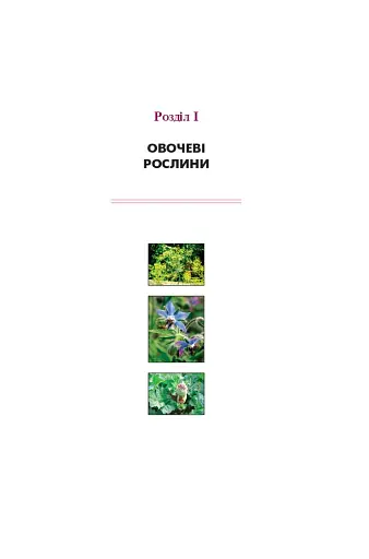 Знайомі незнайомці та їхні цілющі соки - фото 9
