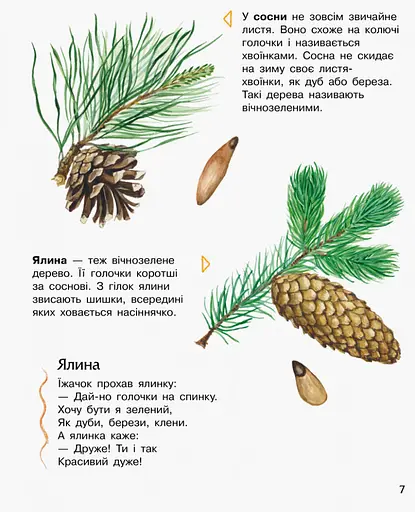 Детская энциклопедия про лес 614016 для дошкольников - фото 2