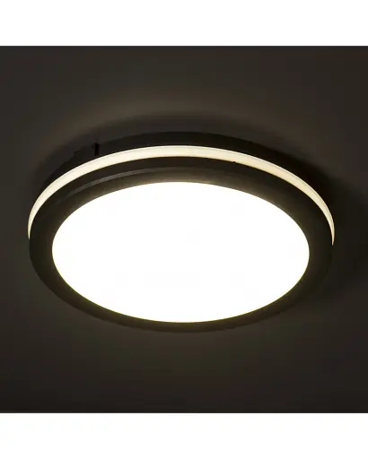 Уличный светильник Kanlux 38385 BENO ECO LED 1x30 3000K/4000K/6500K 2150/2400/2300Lm IP65 черный - фото 3