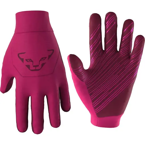 Перчатки Dynafit Upcycled Thermal Gloves