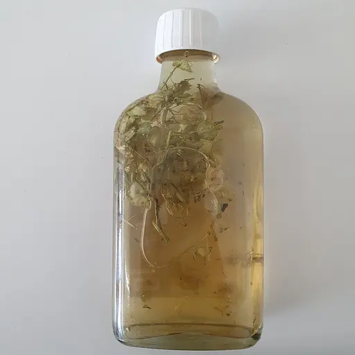 Настоянка на траві талабан польовий ярутка 200 мл - фото 2