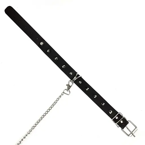 Ошейник Art of Sex - Collar Spikes and Leash с шипами и поводком - фото 7