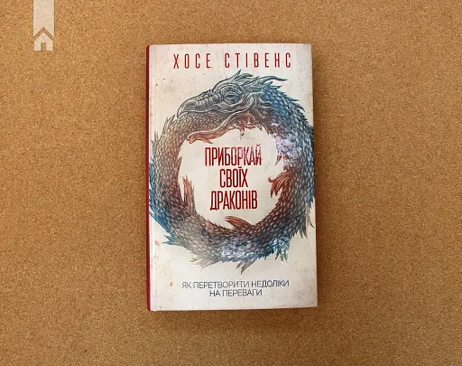 Приборкай своїх драконів. Як перетворити недоліки на переваги - фото 2