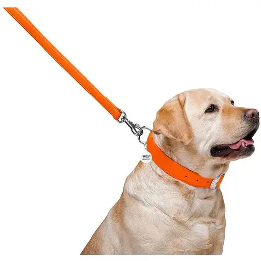 Повідець для собак Waudog Glamour шкіряний, помаранчевий - фото 4