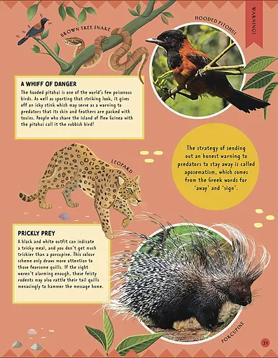 How Not to Get Eaten - фото 10