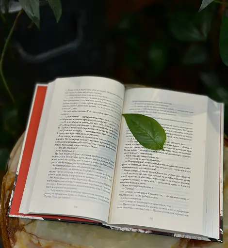 Макова війна. Книга 1 - фото 4