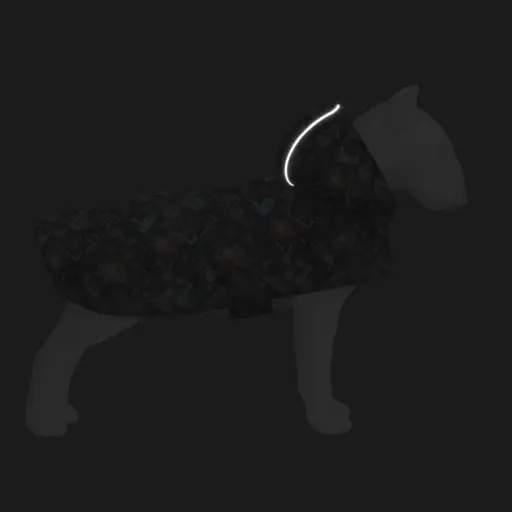 Дощовик-накидка з капюшоном для собак Waudog Clothes, малюнок "Нескінченні світи",L, А 48-52 см, B 60-70 см, С 42-52 см - фото 4