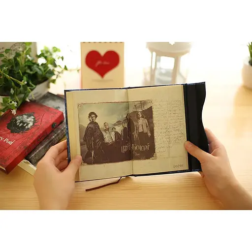 Дневник GeekLand Harry Potter серебристый 6.38.5 - фото 8