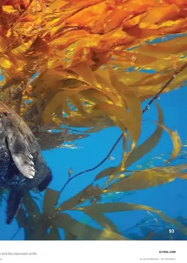 Our World (2nd Edition) 4 Student's Book+Spark platform - фото 3