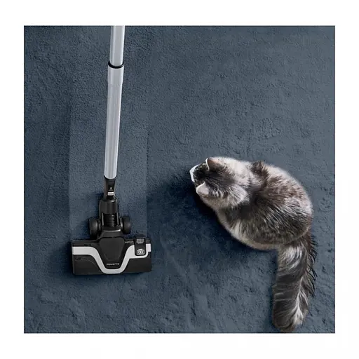 Пылесос безмешковый Rowenta Silence Force Cyclonic RO7961EA - фото 2