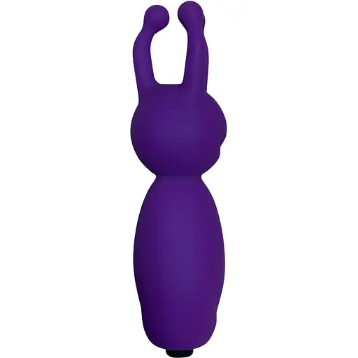 Вибратор Passion Bunny USB фиолетовый (4821002029471)