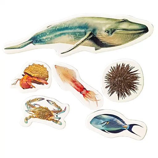 Детский набор магнитов "Обитатели морей и океанов" ML4032-27 в наборе 6 магнитов