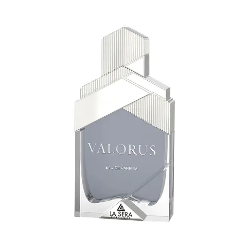 Парфюмированная вода мужская La Sera Valorus 100 мл (MM35034)