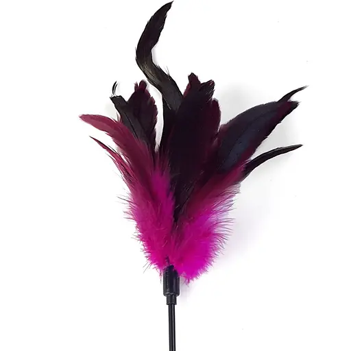 Лоскітка Art of Sex - FeaTher Paddle темно-рожева - фото 2