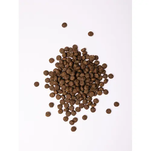 Сухой корм Savory Medium для собак средних пород, со свежим ягненком и индейкой, 3 кг - фото 2