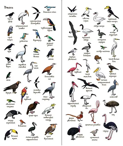 Книга Шукай і знаходь. Тварини. Автор - Тьєррі Лаваль, Янн Кувен (Читаріум) - фото 2