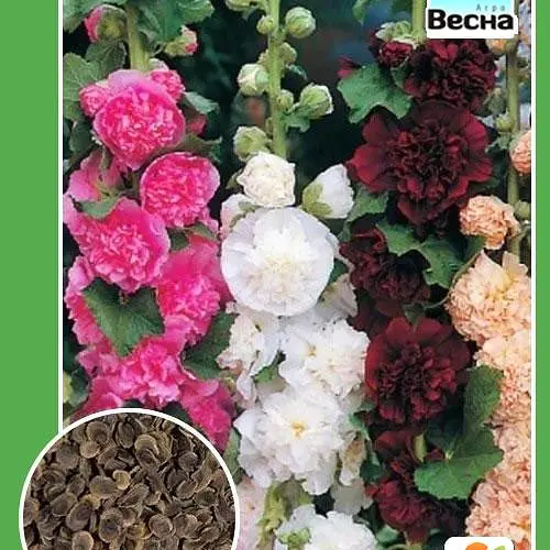 Мальва махровая смесь Весна 0.2г (12697) - фото 3