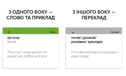 Agriculture, 105 карток, англійська - фото 4