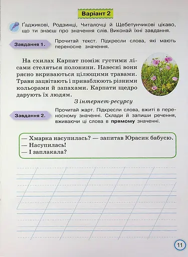 Твої досягнення. Українська мова. 3 клас. Тематичні діагностувальні роботи - фото 13