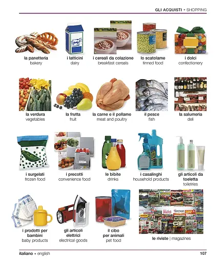 Словник Italian-English Visual Bilingual Dictionary with FREE Audio APP - фото 7