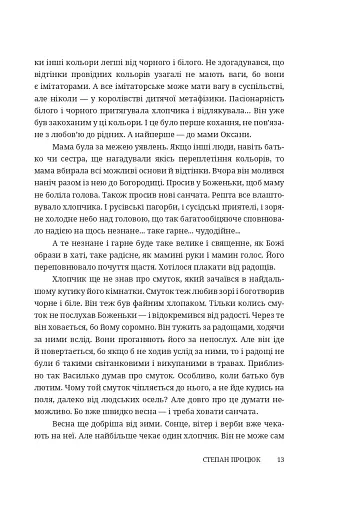 Троянда ритуального болю. Роман про Василя Стефаника - фото 11