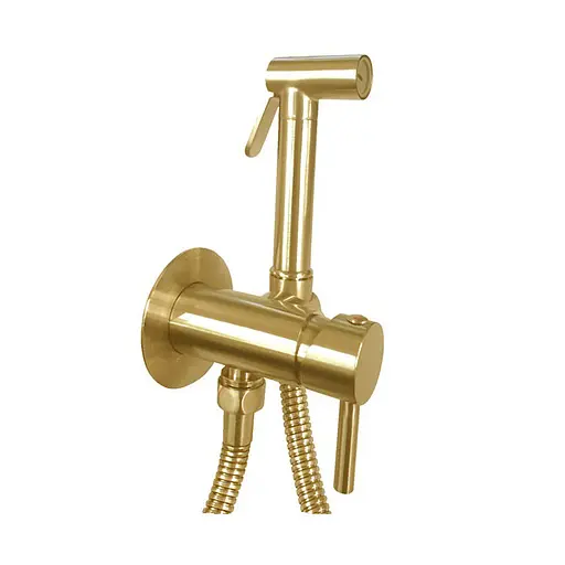 Гігієнічний душ прихованого монтажу Paffoni Tweet Round Mix зі змішувачем та шлангом (колір - Honey gold spazzolato / Матове медове золото) ZDUP110HGSP - фото 1